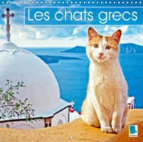 Chats Grecs 2018