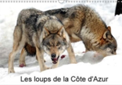Loups De La Cote D'azur 2018