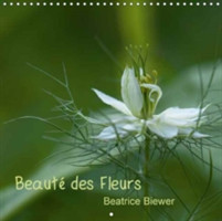 Beaute Des Fleurs 2018