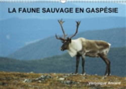 Faune Sauvage En Gaspesie 2018