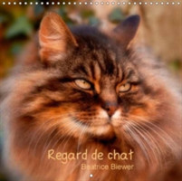 Regard De Chat 2018