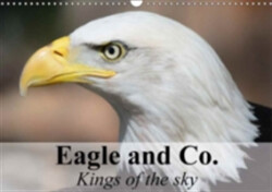 Eagle and Co. Kings of the Sky 2018