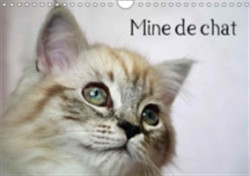 Mine De Chat 2018