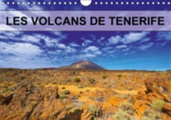 Volcans De Tenerife 2018