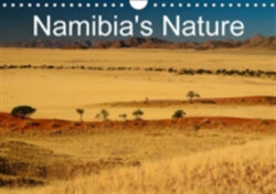 Namibia's Nature 2018