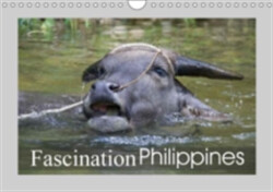 Fascination Philippines 2018