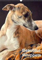 Beautiful Whippets 2018