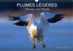 Plumes Legeres. Oiseaux Du Monde 2018