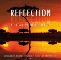 Emotional Moments: Reflection - African Wildlife Images 2018