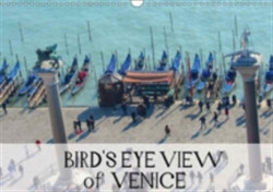 Bird's Eye Venice 2018