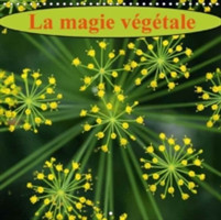Magie Vegetale 2018