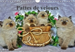 Pattes De Velours 2018