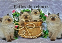 Pattes De Velours 2018