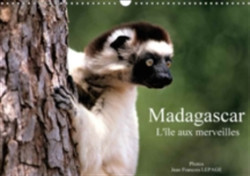 Madagascar L'Ile Aux Merveilles 2018