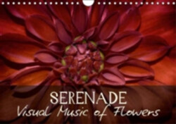 Serenade Visual Music of Flowers 2018