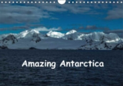 Amazing Antarctica 2018