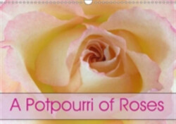 Potpourri of Roses 2018