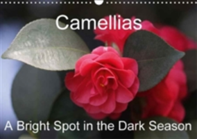 Camellias A Bright Spot in the Dark Season 2018
