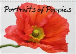 Portraits of Poppies 2018