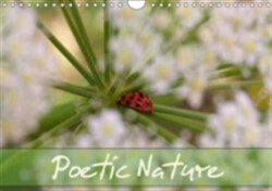 Poetic Nature 2018