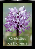 Orchidees De Provence 2018