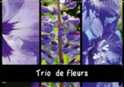 Trio De Fleurs 2018