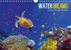 Water Dreams-Journey Through the Sea 2018