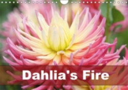 Dahlia's Fire 2018