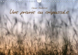 Une Prairie Au Crepuscule 2018