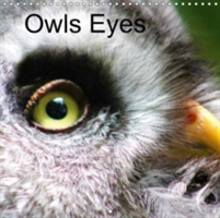 Owls Eyes 2018