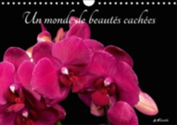 Monde De Beautes Cachees 2018