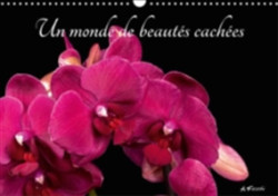 Monde De Beautes Cachees 2018