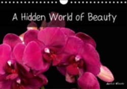 Hidden World of Beauty 2018