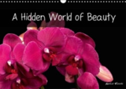 Hidden World of Beauty 2018