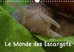 Monde Des Escargots 2018