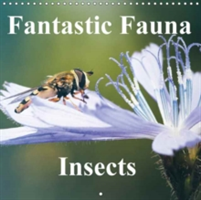 Fantastic Fauna - Insects. 2018