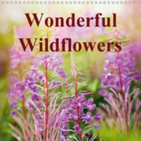 Wonderful Wildflowers 2018