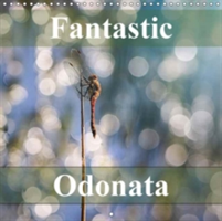 Fantastic Odonata 2018