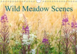 Wild Meadow Scenes 2018