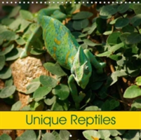 Unique Reptiles 2018