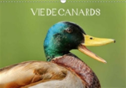 Vie De Canards 2018