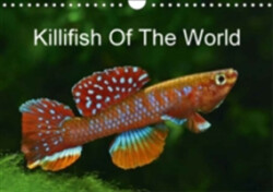 Killifish of the World 2018