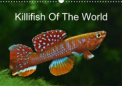 Killifish of the World 2018