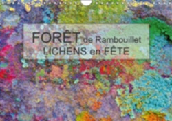 Foret De Rambouillet - Lichens En Fete 2018