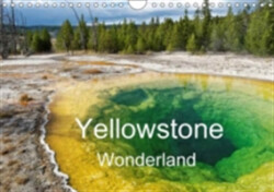 Yellowstone Wonderland 2018