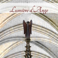 Lumiere D'ange 2018