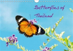 Butterflies of Thailand 2018