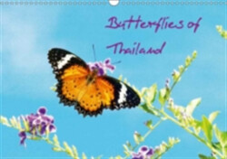 Butterflies of Thailand 2018