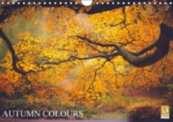 Autumn Colours 2018