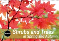 Shrubs and Trees in Spring and Autumn 2018